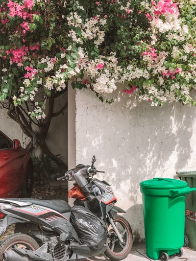 black motorcycle parked beside green plastic trash bin